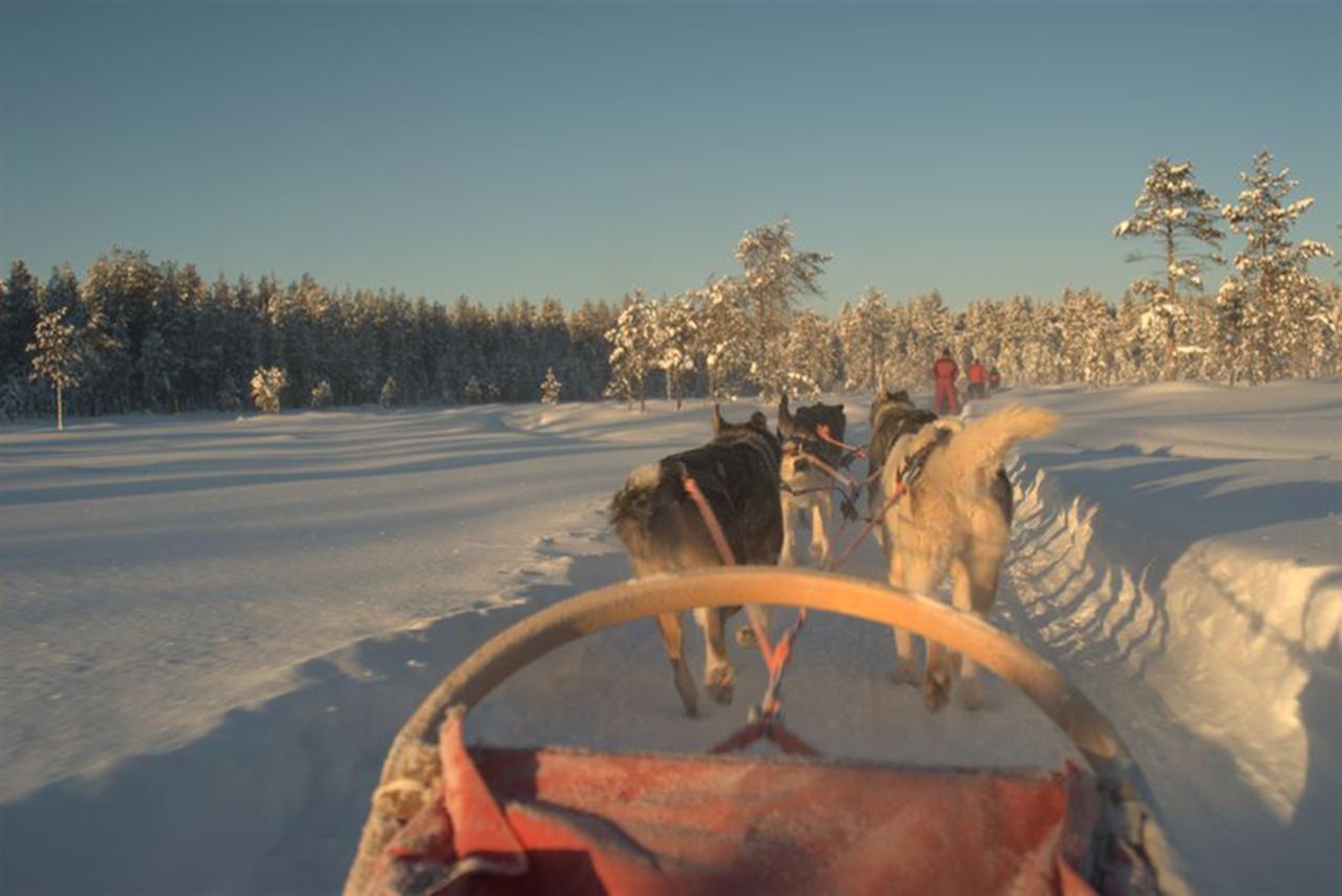 Arctic Panorama Lodge Uloybukta ภายนอก รูปภาพ