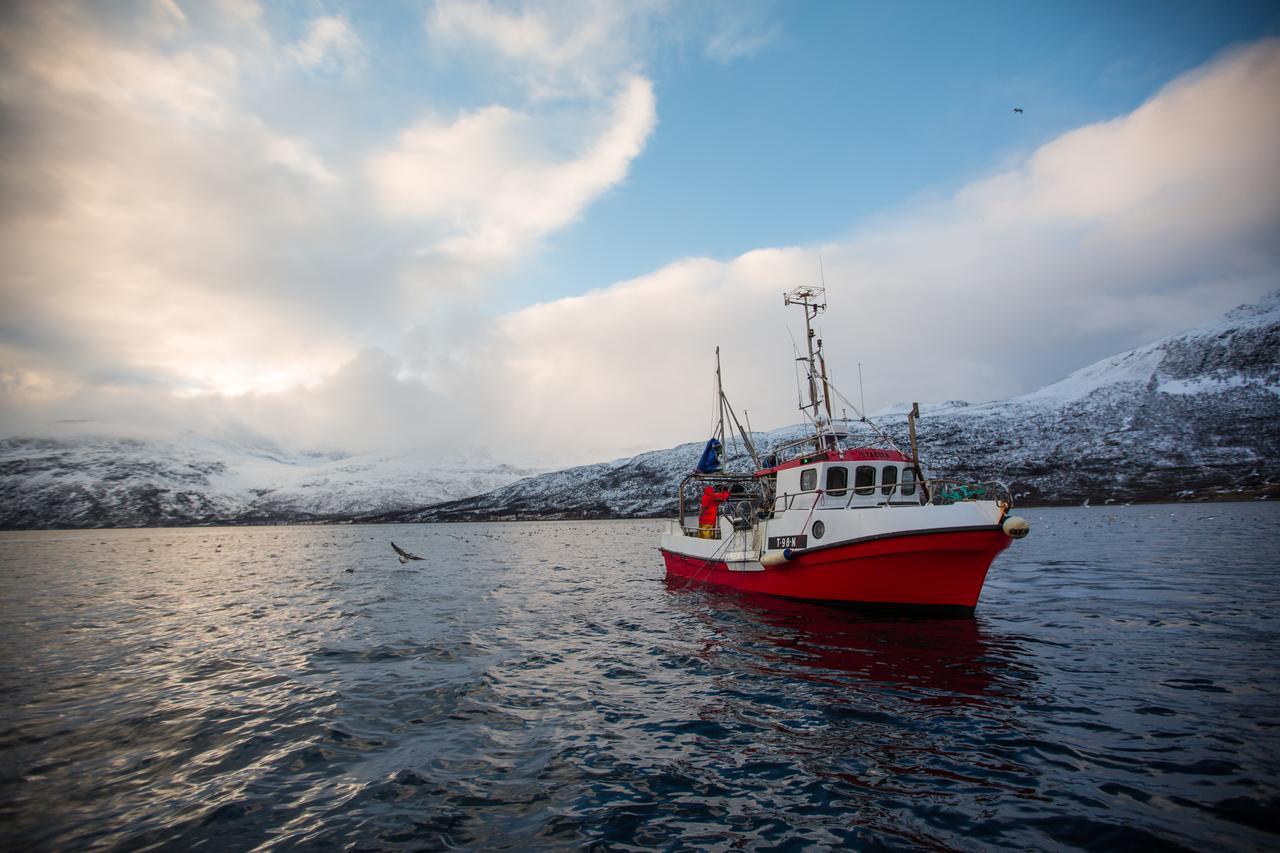 Arctic Panorama Lodge Uloybukta ภายนอก รูปภาพ