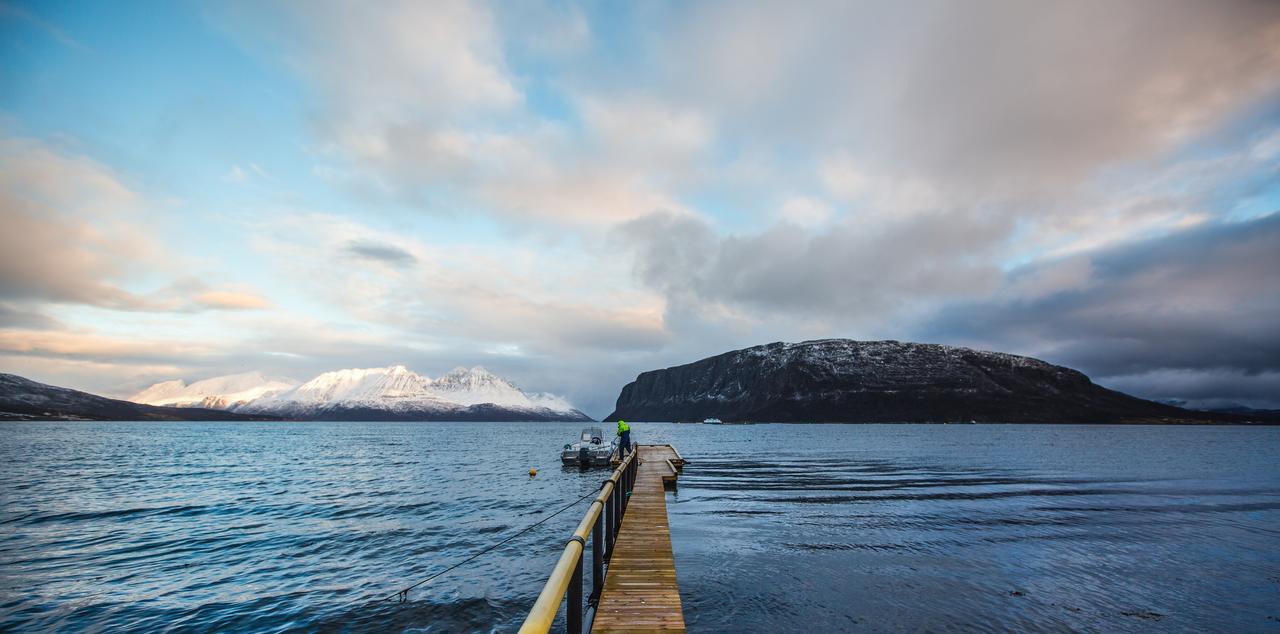 Arctic Panorama Lodge Uloybukta ภายนอก รูปภาพ